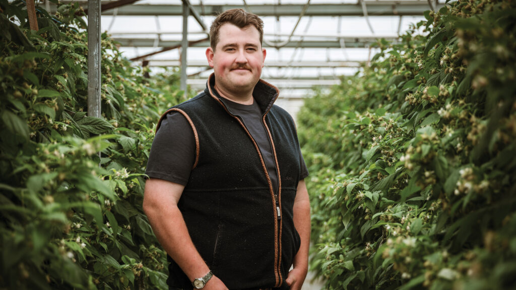 Man standing inside a glasshouse