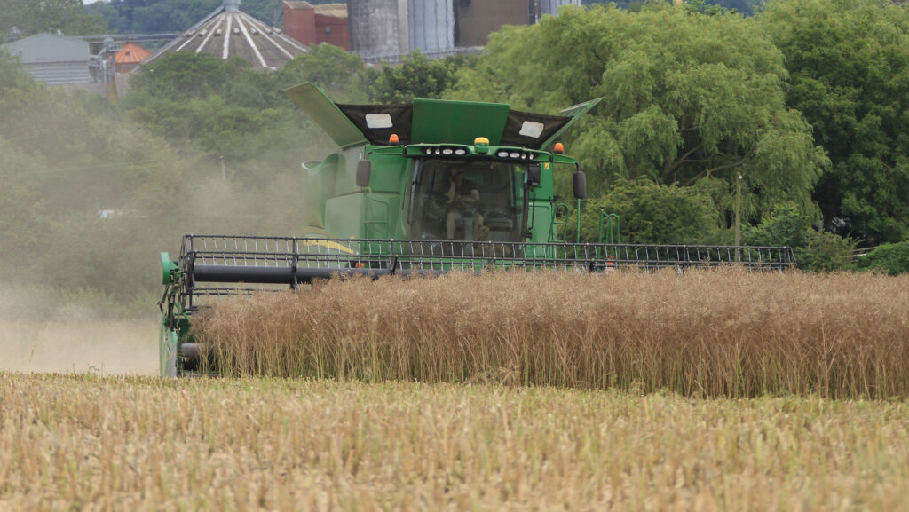 Guy Savory & Son's oilseed rape harvest 2024 © Guy Savory

