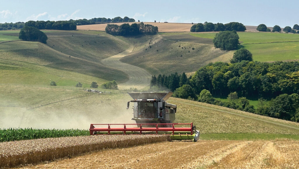 Ben Jeans combining near Salisbury