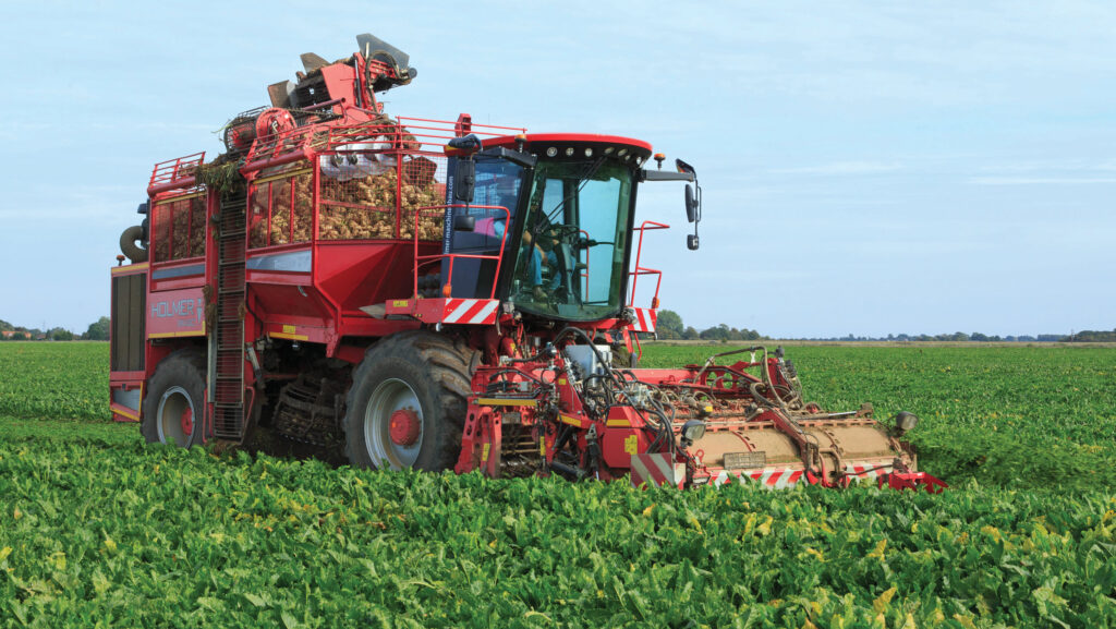 Harvesting sugar beet