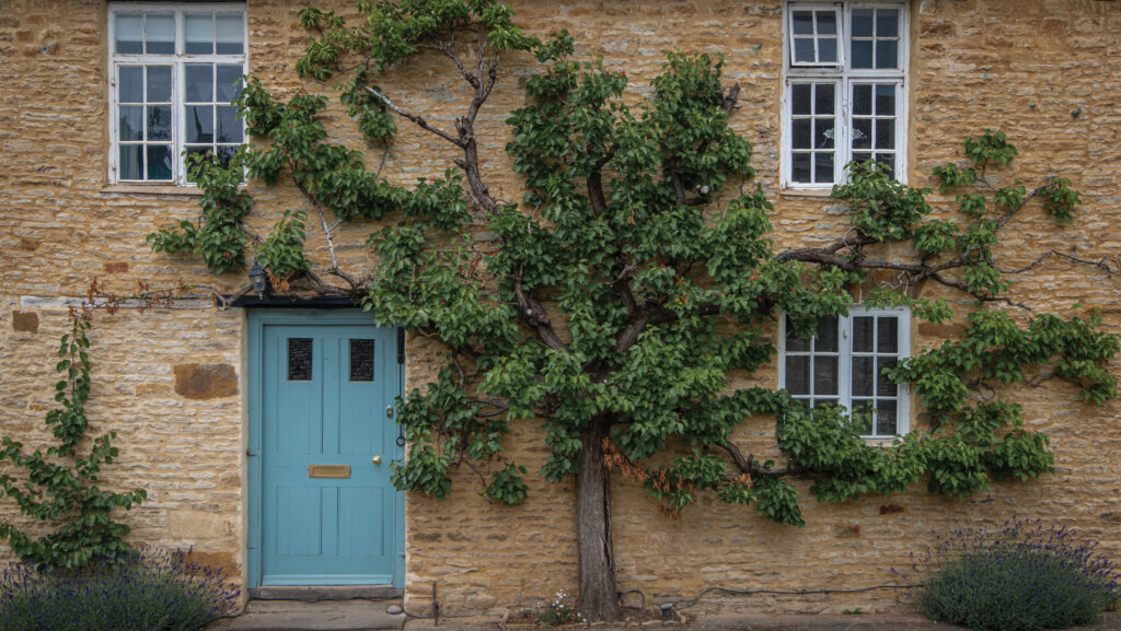 The front door of a cottage