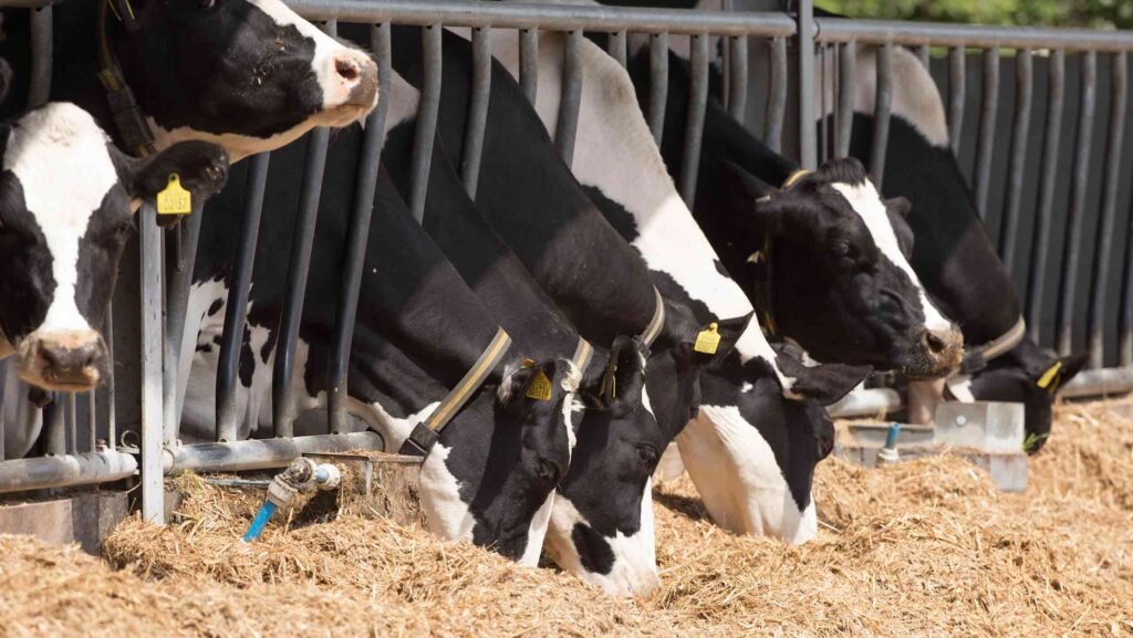 Investment demands drive many dairy exit decisions - Farmers Weekly