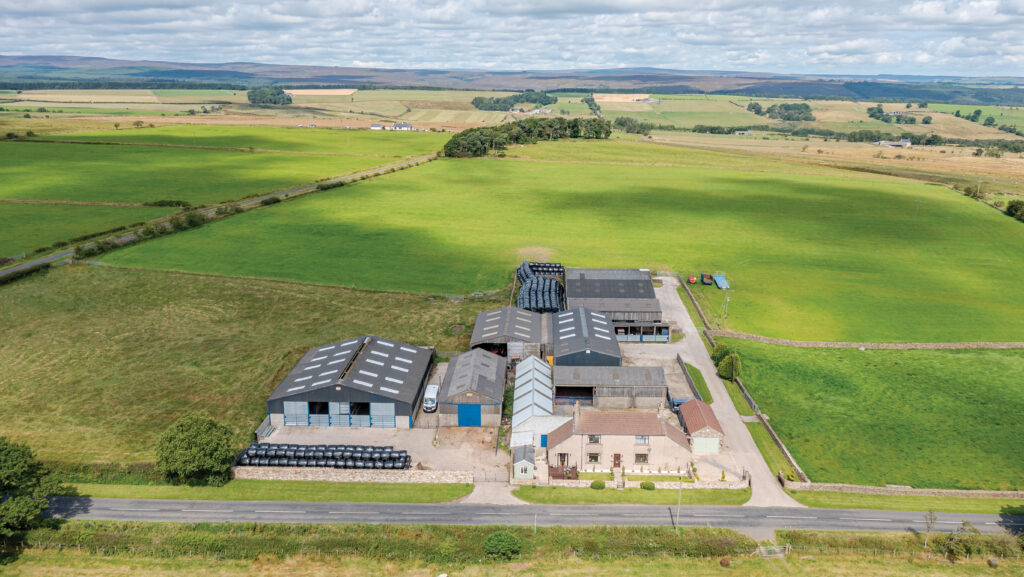 Crake Scar Farm