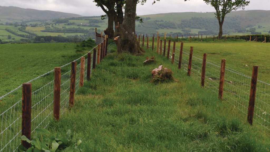 Double fence for biosecurity