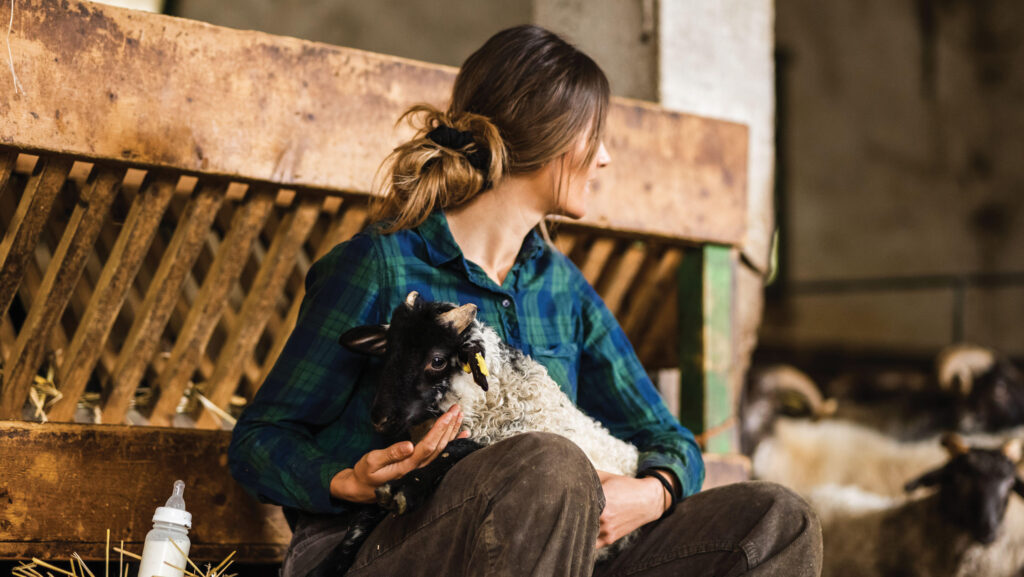 Female farmer with sheep