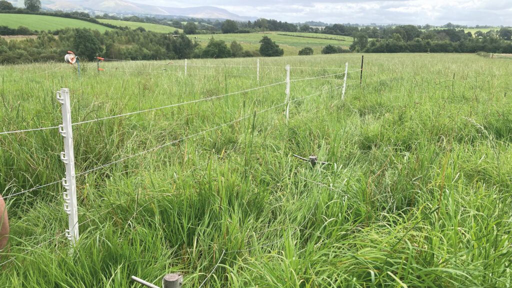 Fencing setup at the Carbon Calling event © MAG/Michael Priestley