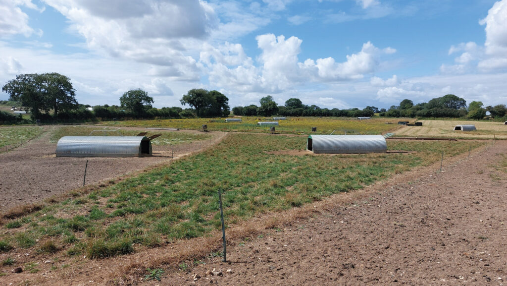 Gilt paddocks © MAG/Shirley Macmillan