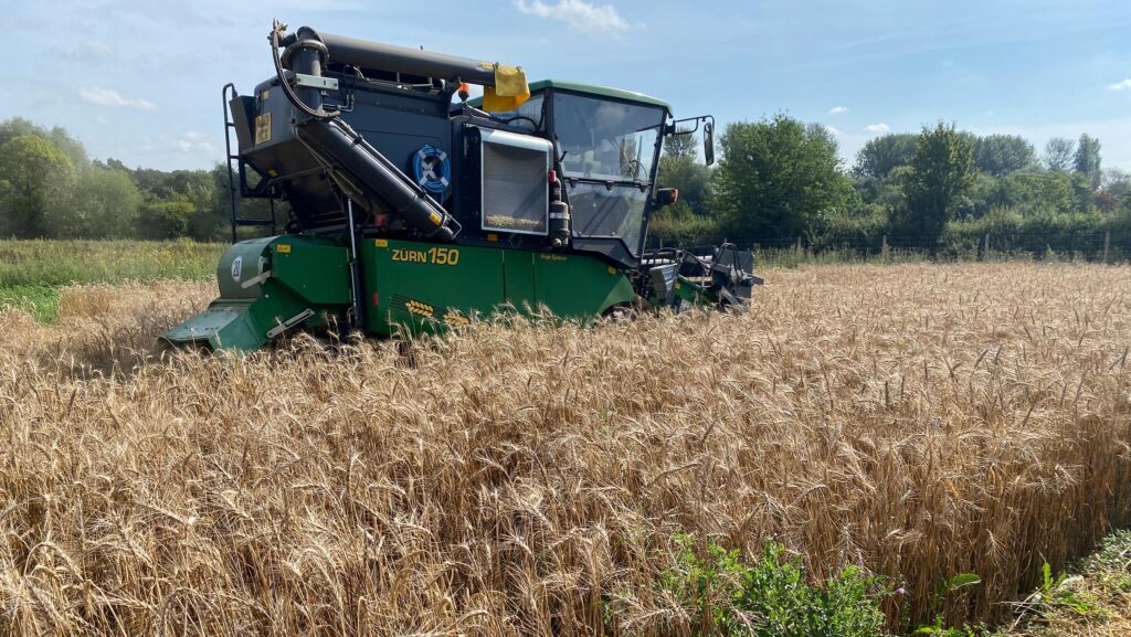 John Innes Centre trial plot harvest © Bofin