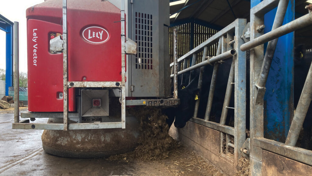 Cows being fed by a machine