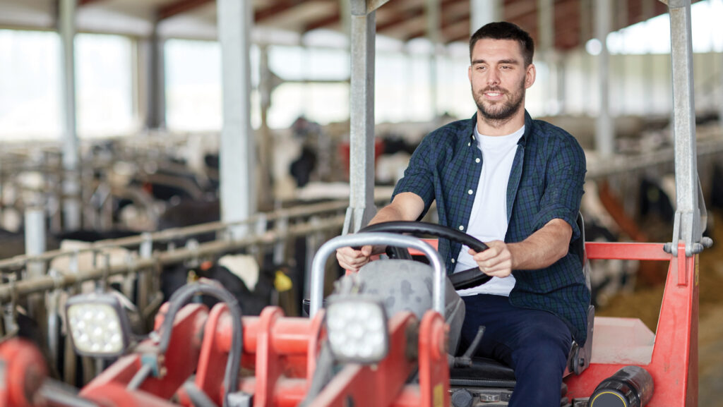 A man working on a dairy farm