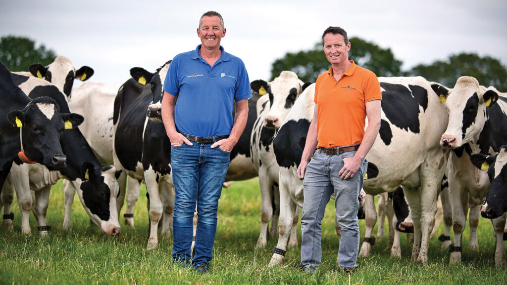 Mike and Chris King with a dairy herd