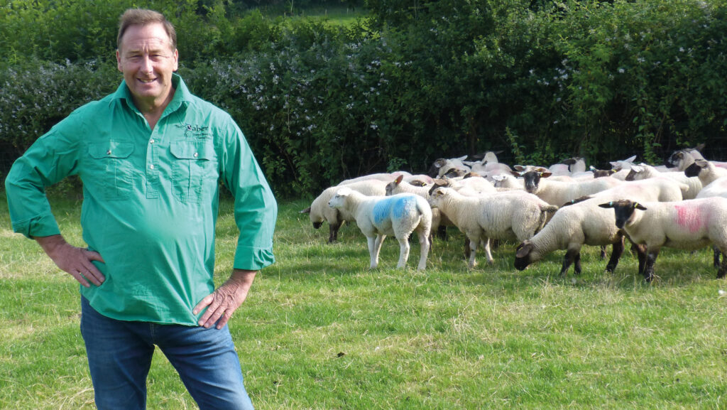 Peter Baber with Texel Suffolk and Sufftex lambs in a field