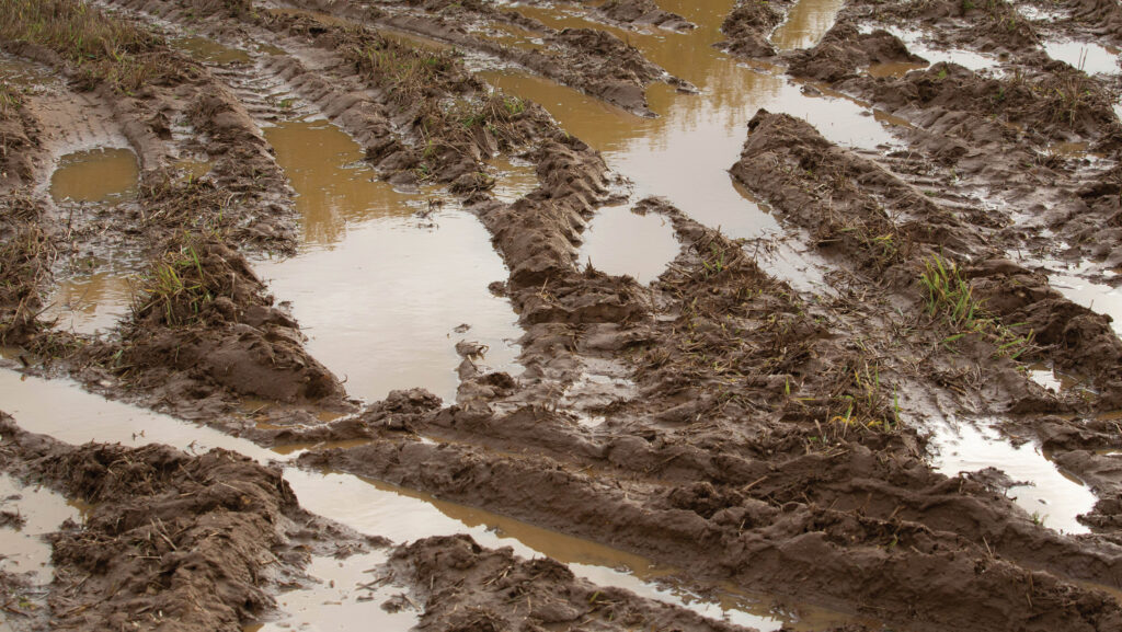 Ruts and soil damage