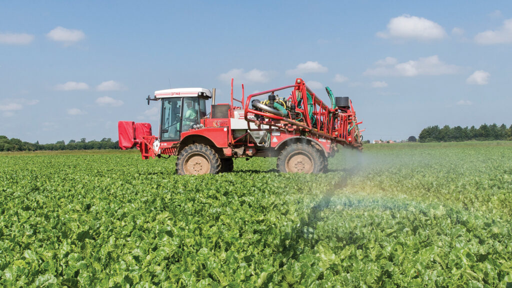 Spraying sugar beet