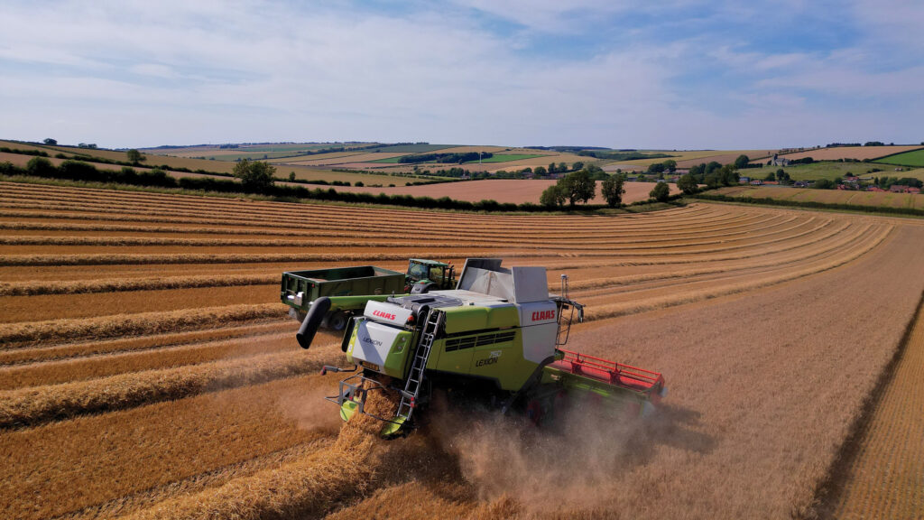 Winter barley being cut in North Yorkshire