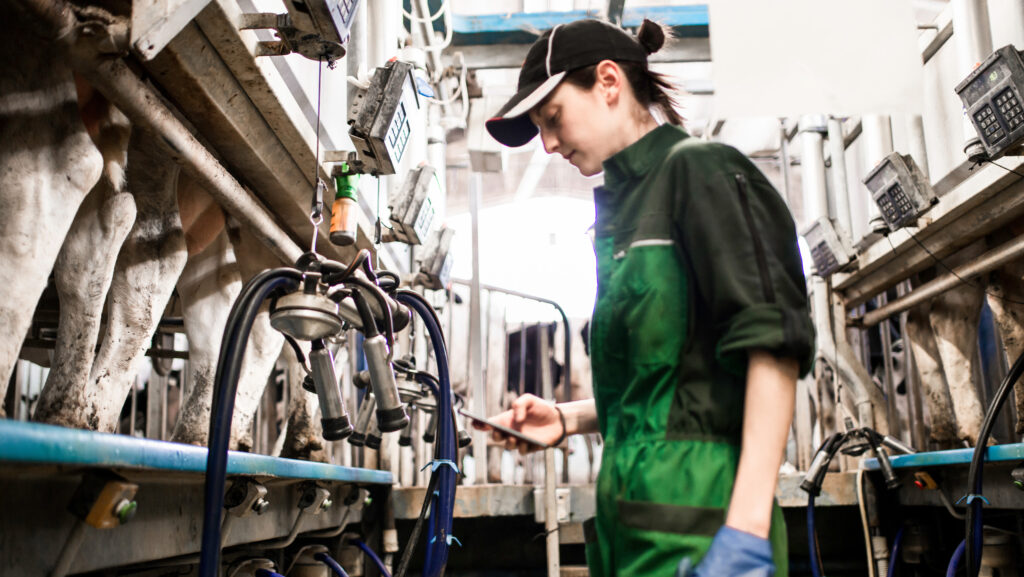 Female worker in dairy