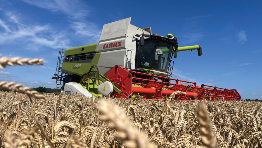 Combine in field of winter wheat