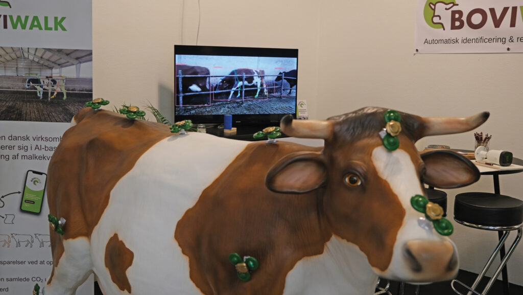 Fibreglass model of a cow on a show stand