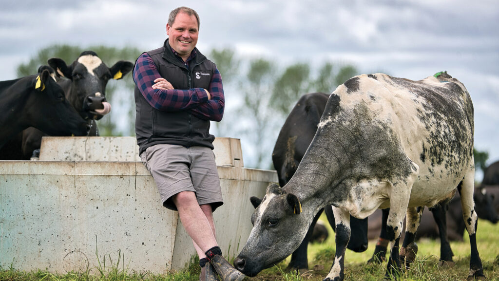 Breiffni Daly standing with dairy cows