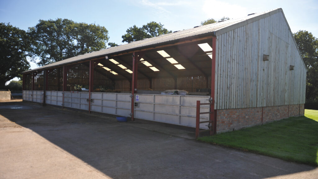 Calf shed