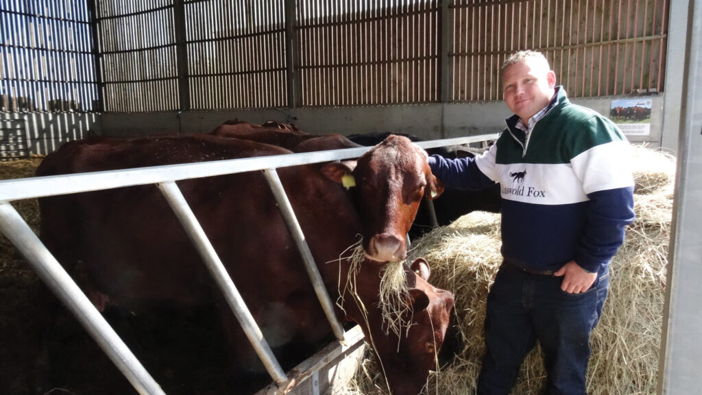 A man standing next to a cow