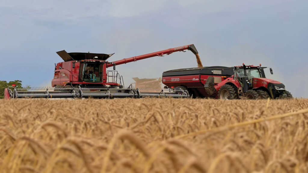 Winter wheat harvest