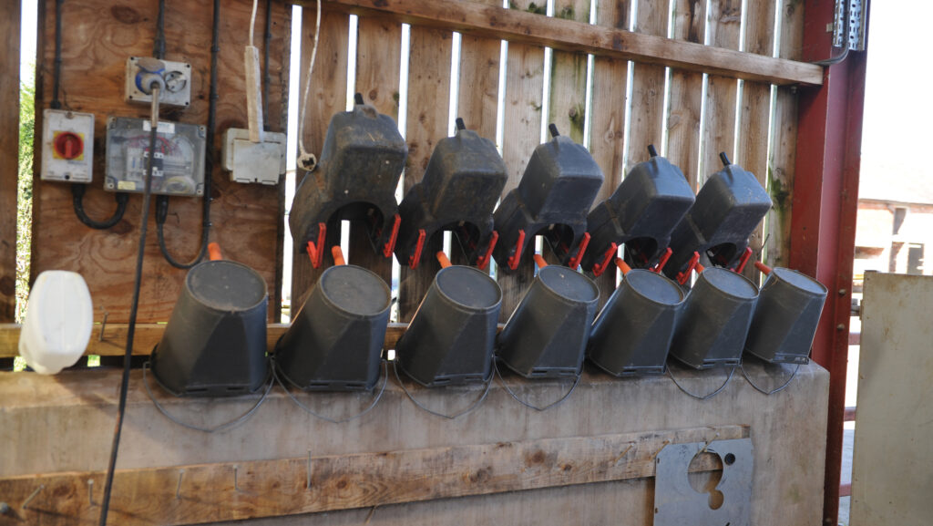 Feeders hanging up to dry in calf shed