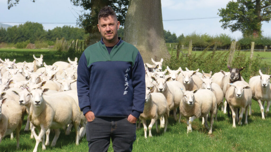 George Evans with sheep