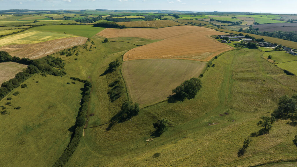 Aerial view of farmland