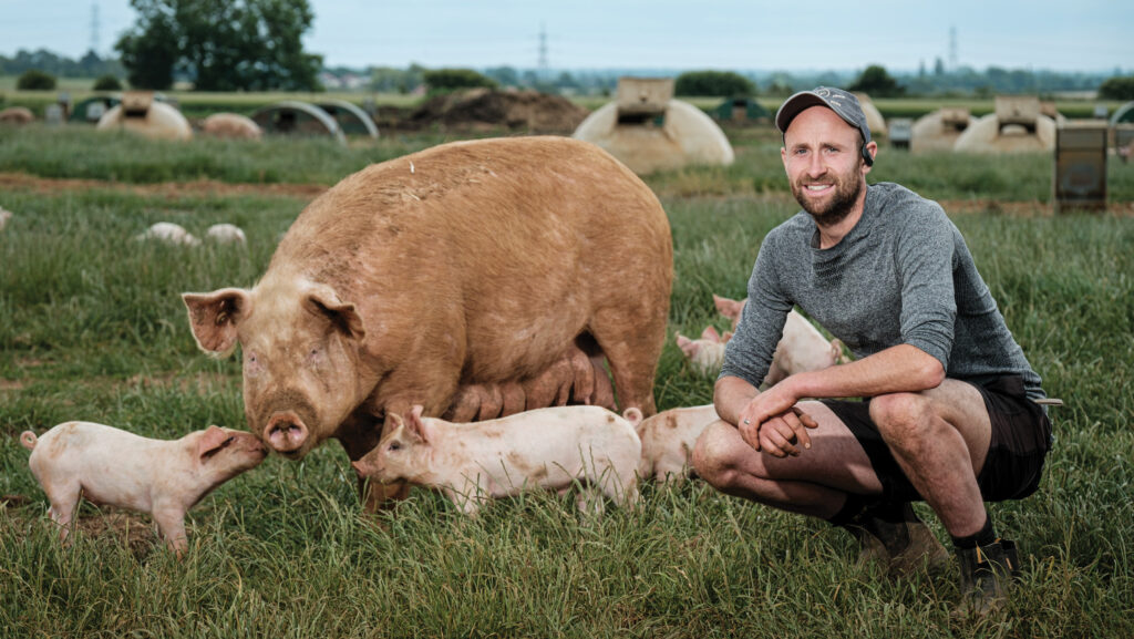 James Ross, Farmers Weekly 2024 Pig Farmer of the Year finalist with pigs