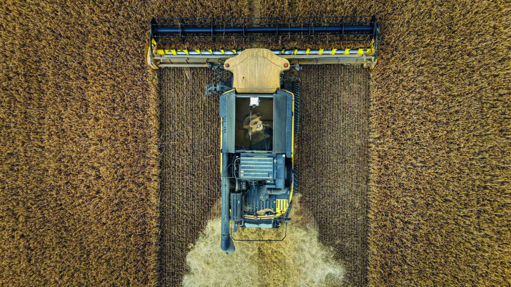 Aerial view of a crop of Flagon winter barley being cut by a CR9090 New Holland combine