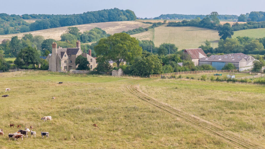 Manor Farm © Savills