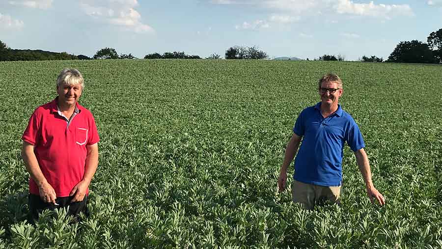 Richard and Matthew Bray in a crop