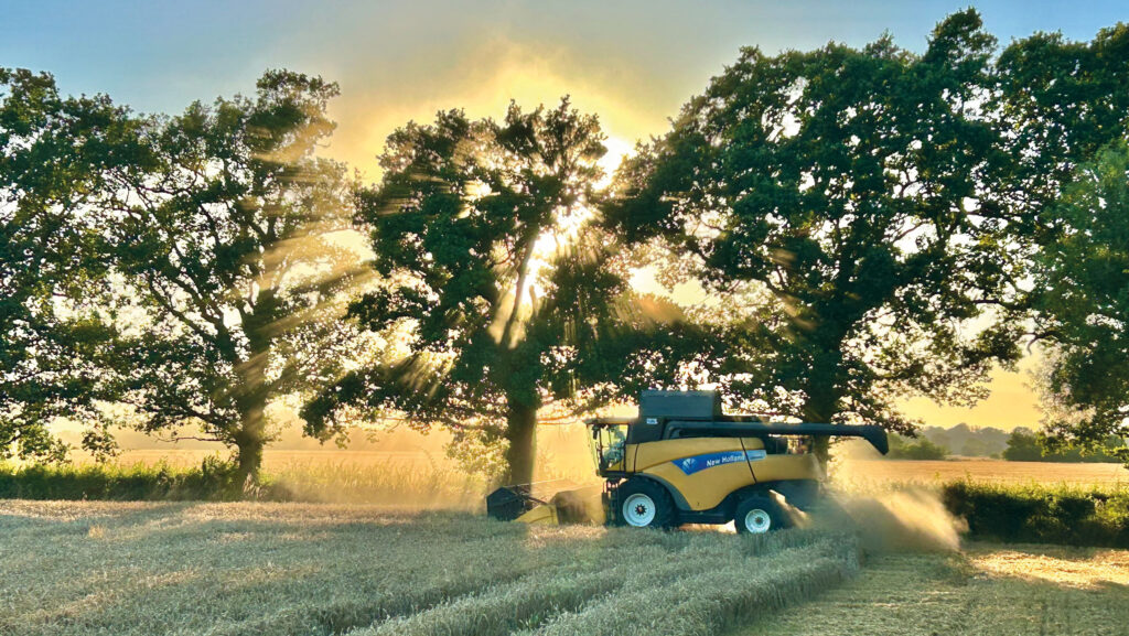 Planet spring barley being cut in the sunshine near Yaxley, Suffolk