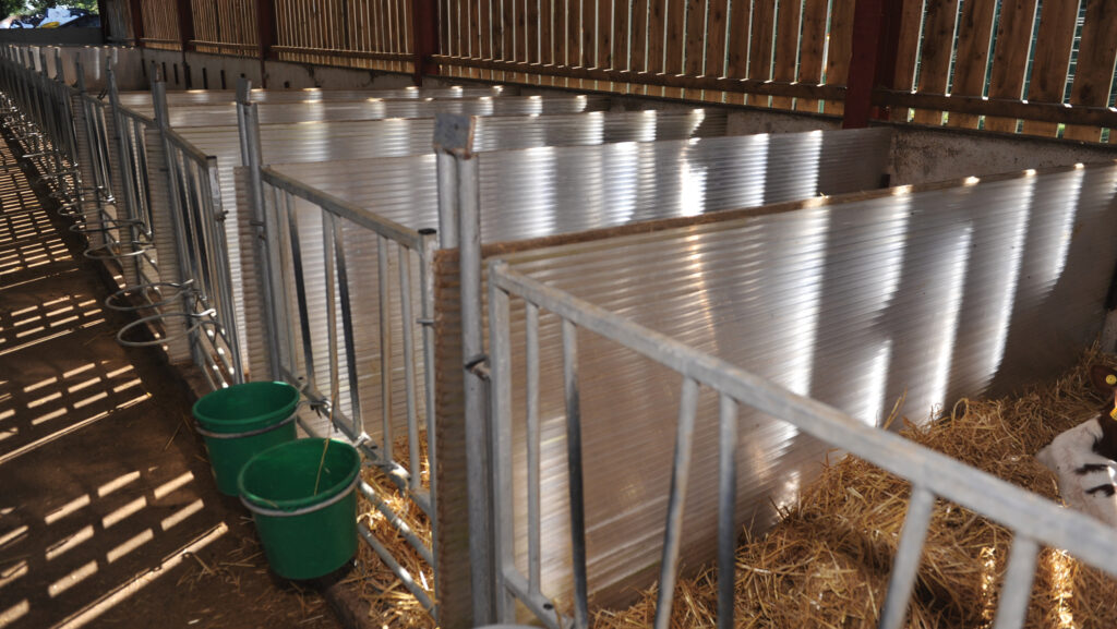 Removable panels in calf shed