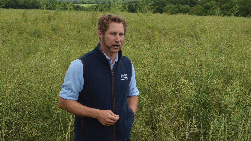 Farmer in front of a crop of oilseed rape