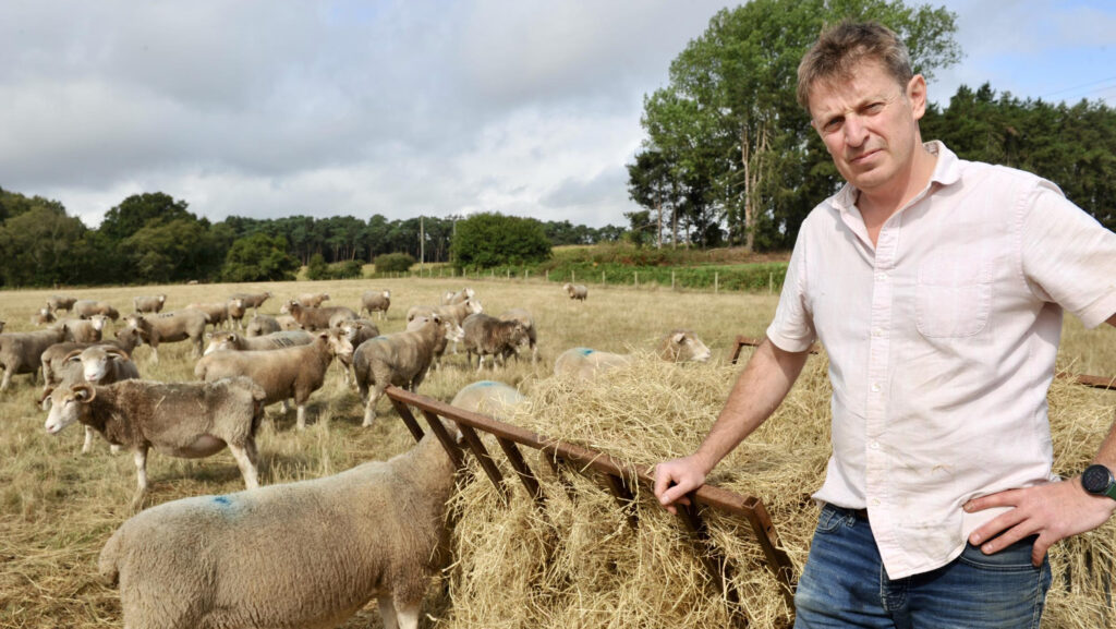 Tim Pratt with sheep on farm