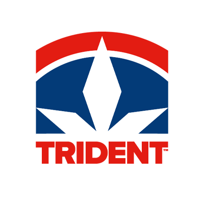 Trident logo