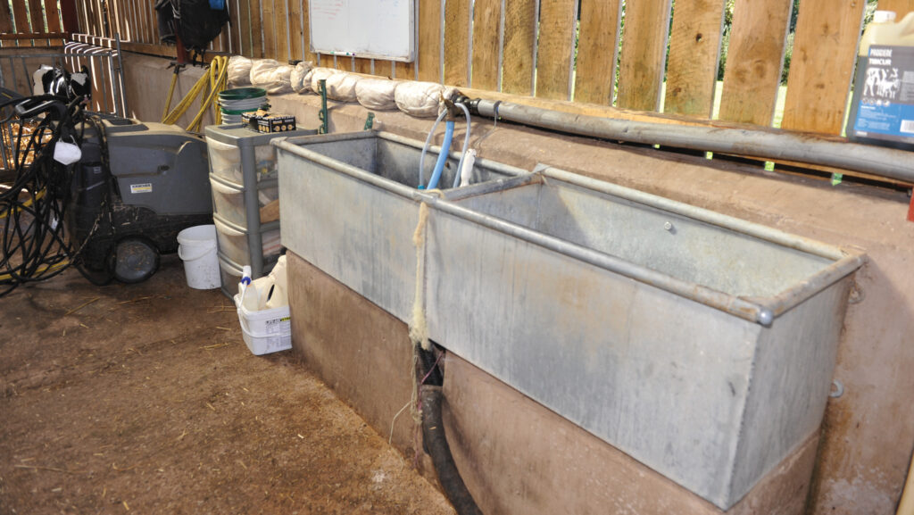 Washing-up sinks in calf shed