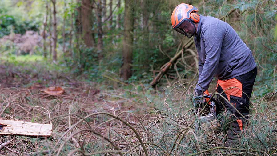 Woodland management 