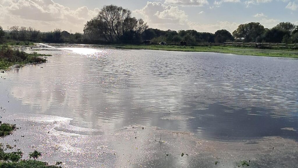 River Brue flooding