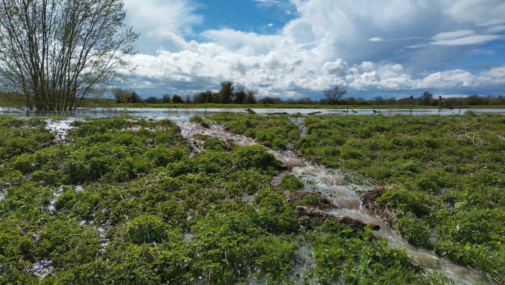 River Brue © Charlie Ainge