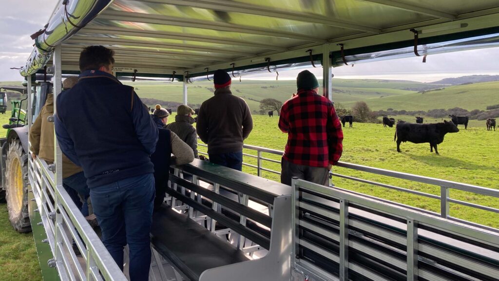 People standing in a converted trailer viewing cattle