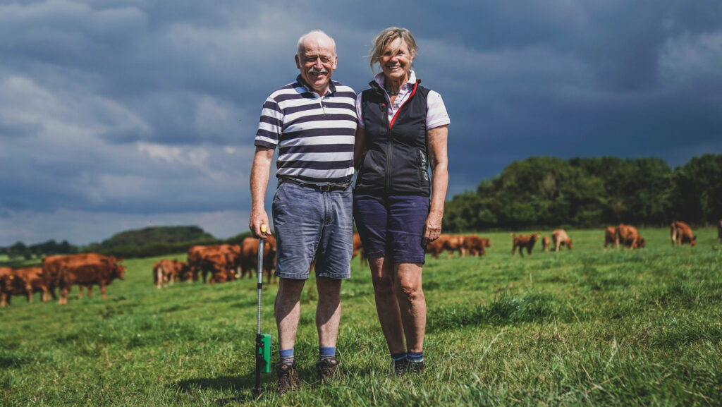 Couple in a field with beef cattle under dark skies