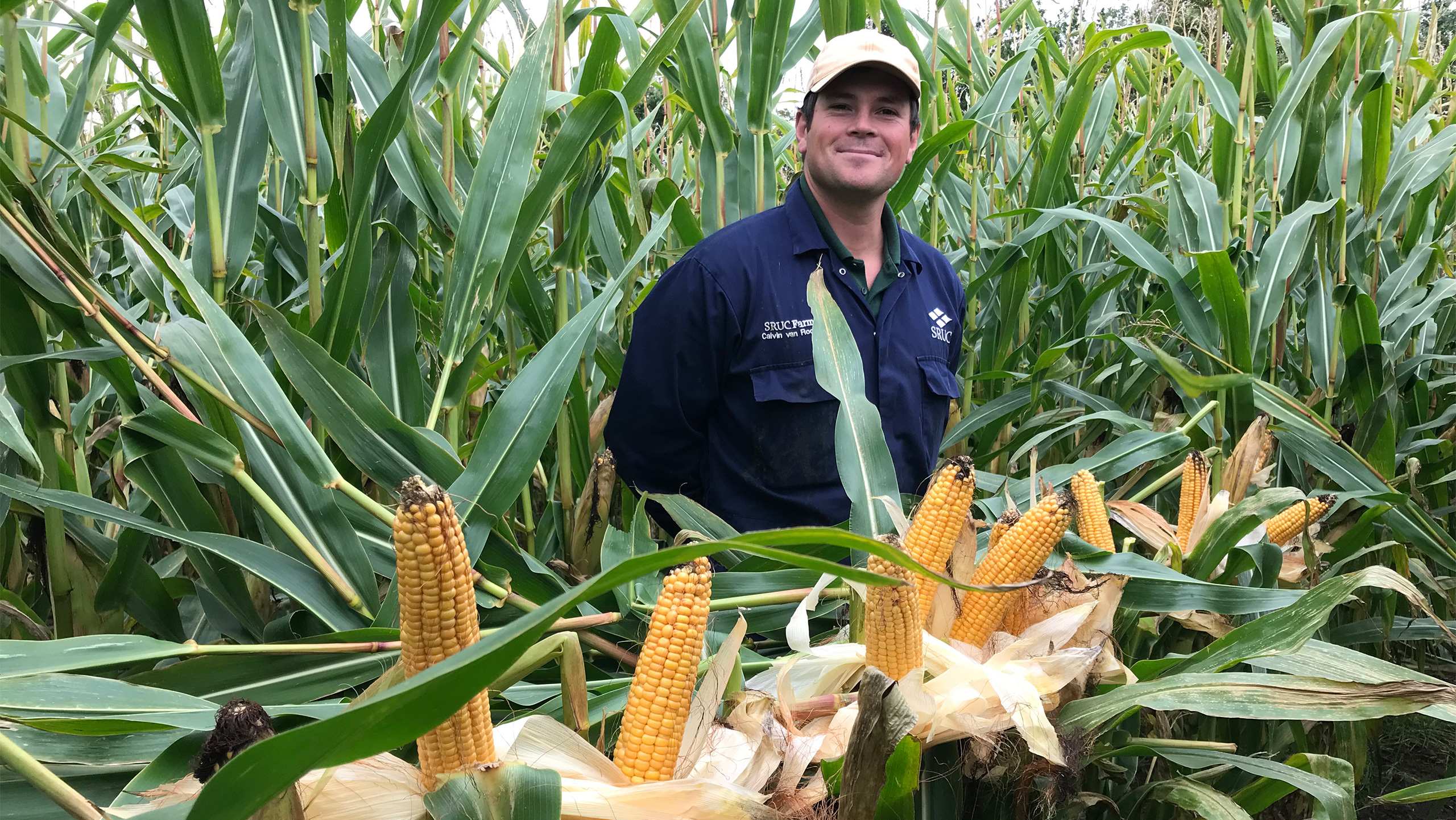 Man standing with maize