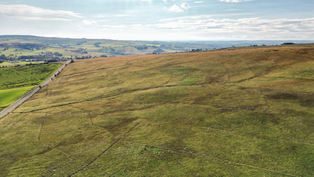 Farm landscape of green fields in Hexham