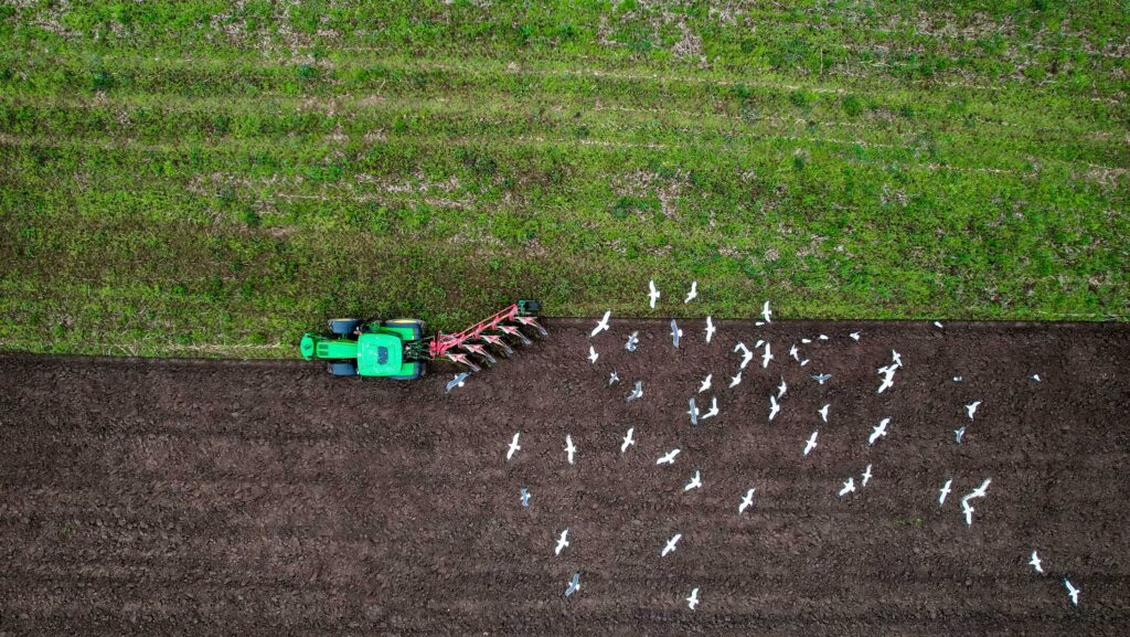 Aerial view of tractor in a field with flock of birds flying