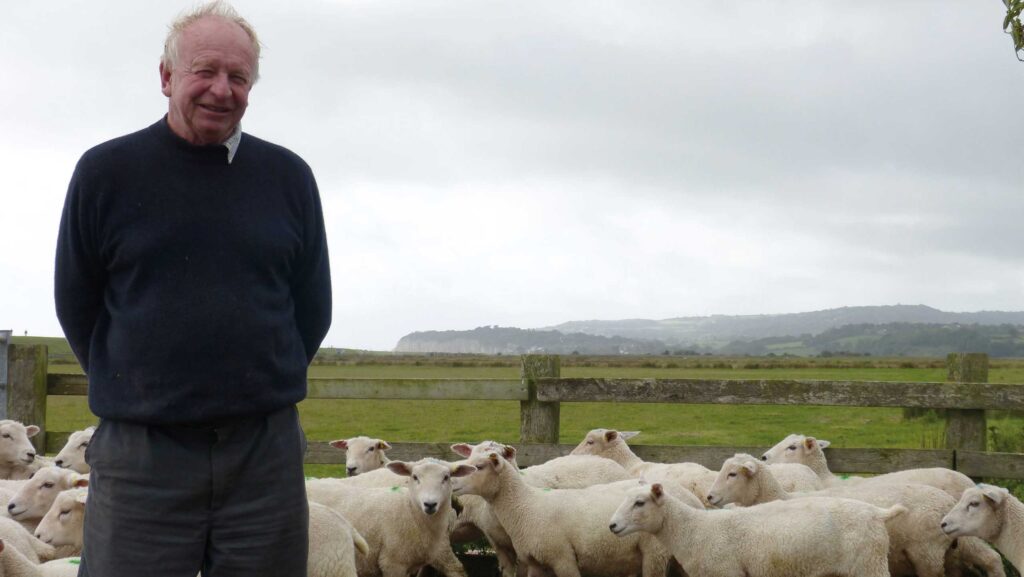 Sheep farmer Frank Langrish with sheep