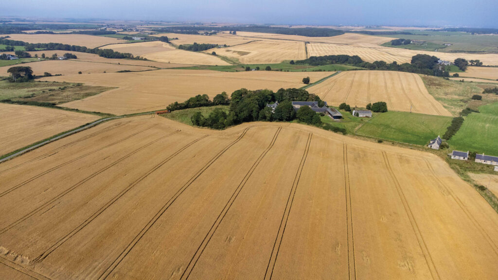 Aerial view of cereal crops surrounding farmhouse and buildings