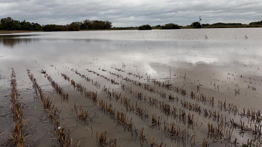 Olly Harrison's flooded field